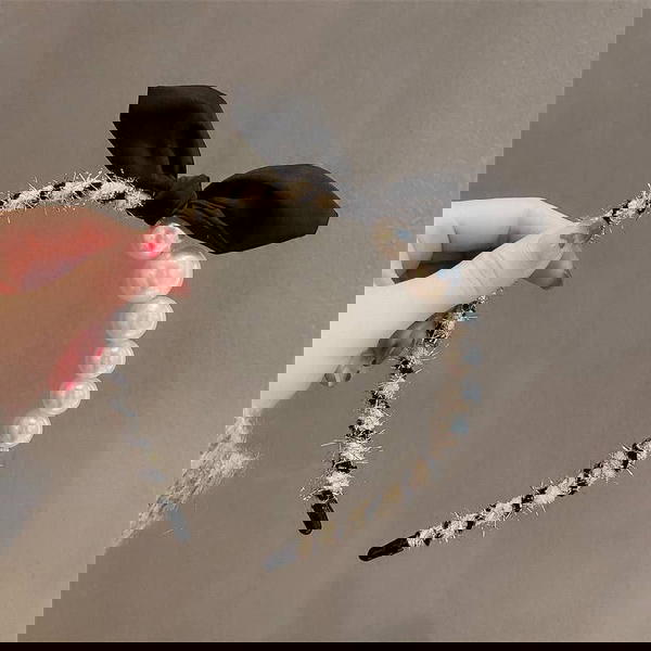 Shein Trends Pearl Hair Hoop  🦪🤍 Image 2 Preview