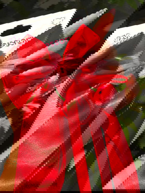 Satin beak Cherry ˗ˏˋ 🍒 ˎˊ˗ Image 4 Preview