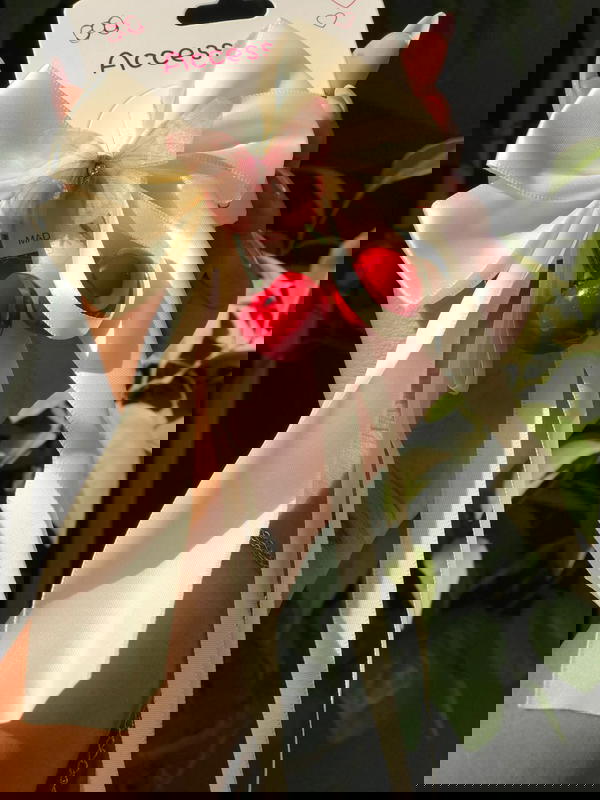 Satin beak Cherry ˗ˏˋ 🍒 ˎˊ˗ Image 7 Preview