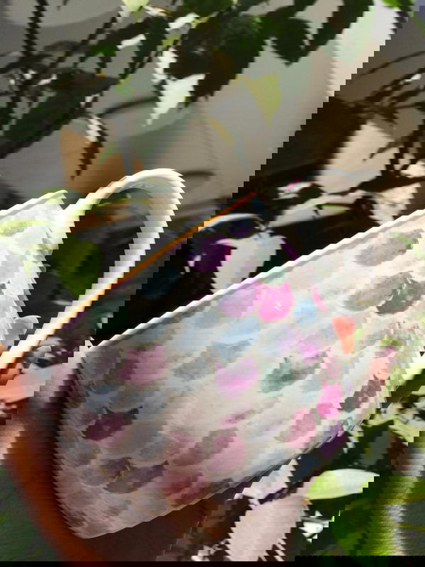 مج الوان  موف ماغنسيوم مستورد 💯❤️  Image 2 Preview