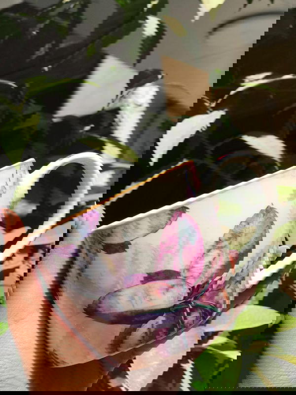 مج الوان  موف ماغنسيوم مستورد 💯❤️  Image 4 Preview