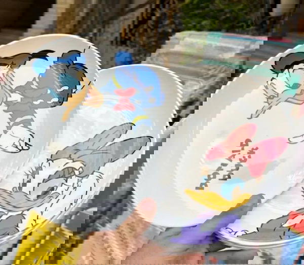 Plastic Plate  Image 6 Preview