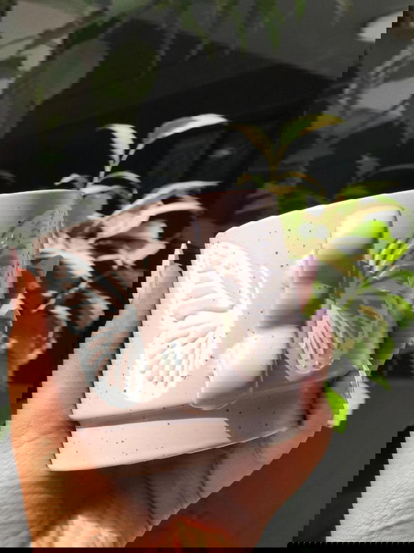 مجات ماغنسيوم يد فراشة   Image 5 Preview