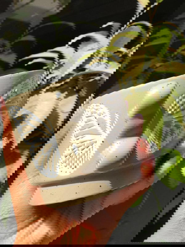 مجات ماغنسيوم يد فراشة   Image 6 Preview