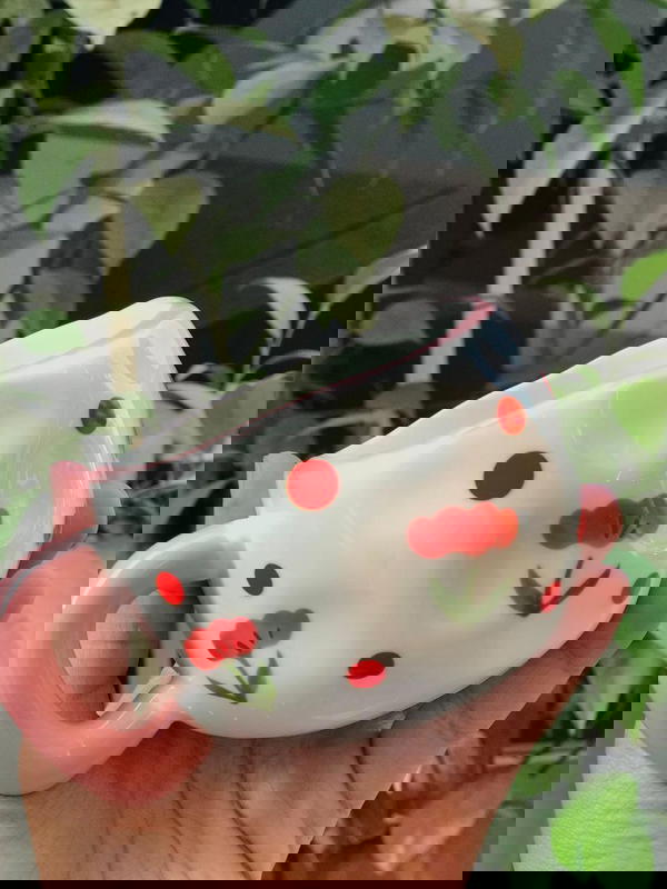 ู
ุฌ ุจูุฑุณููู ูุงููู ูุฏููโ๏ธ  Image 2 Preview