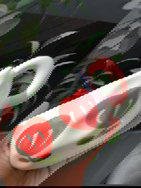 ู
ุฌ ุจูุฑุณููู ูุงููู ูุฏููโ๏ธ  Image 5 Preview