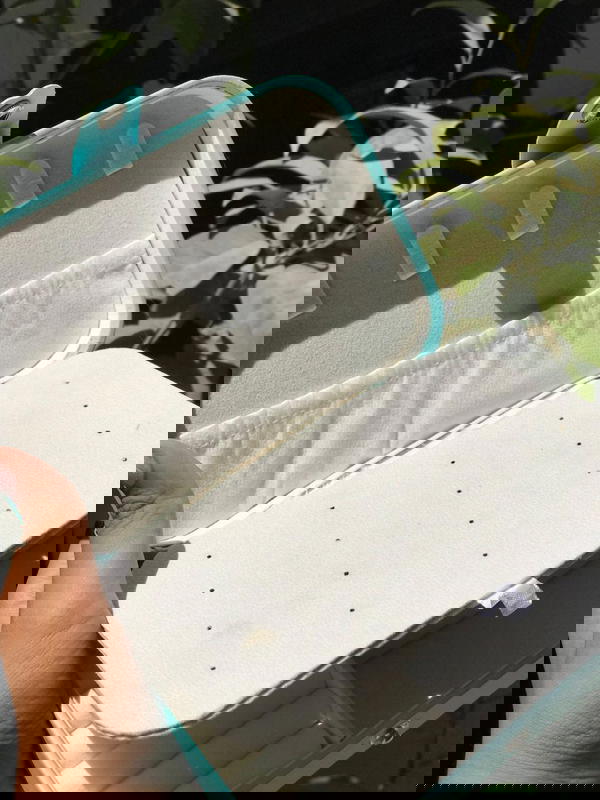 Leather Jewelry Bag 🔮 Image 8 Preview