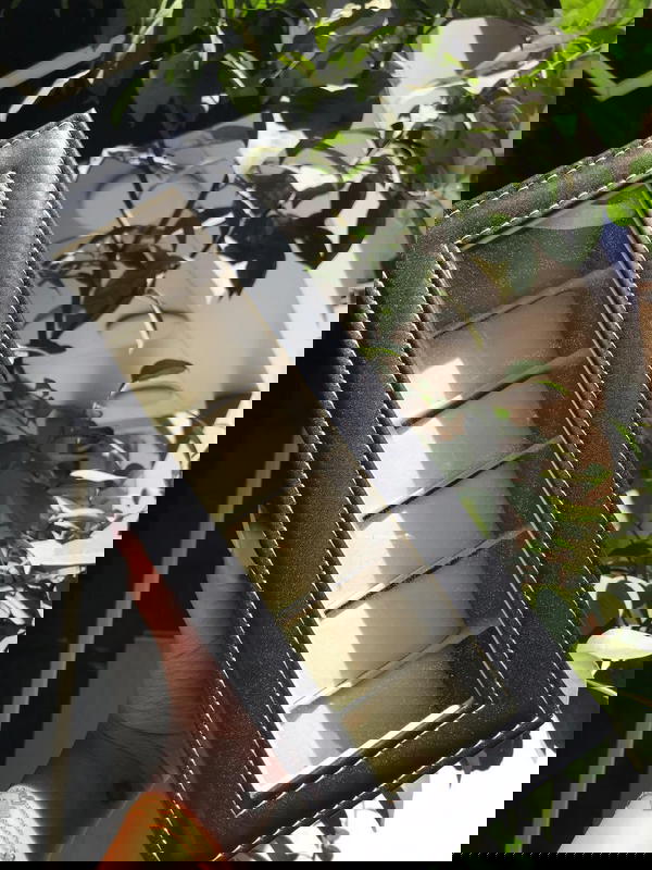 بوكس ساعات 6خانه ⏱️⌚️ Image 9 Preview