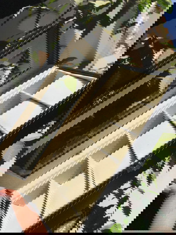 بوكس ساعات 6خانه ⏱️⌚️ Image 10 Preview