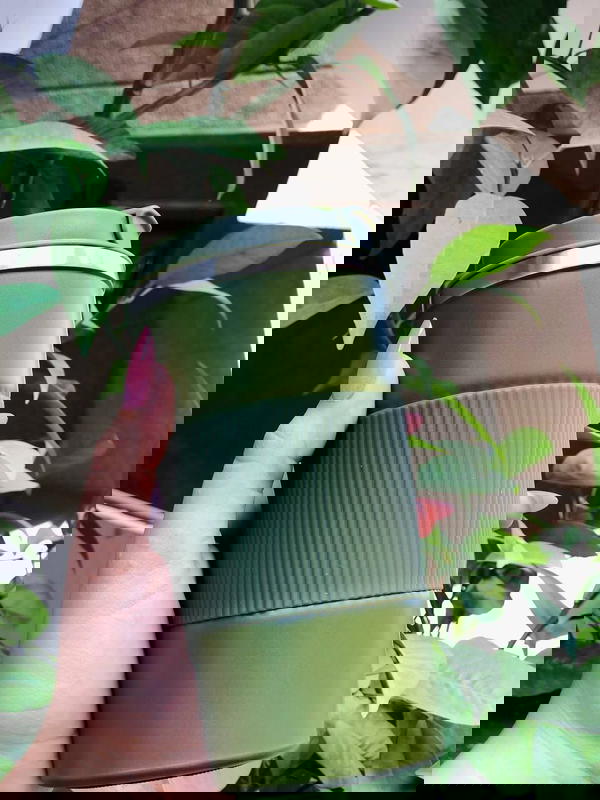 مج حراري سعة 500 ملي Image 6 Preview