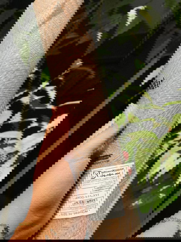 ุฑูู ููู
 ุณูููููู ู
ุณุชูุฑุฏ ุงุดูุงู ูุงู Image 3 Preview