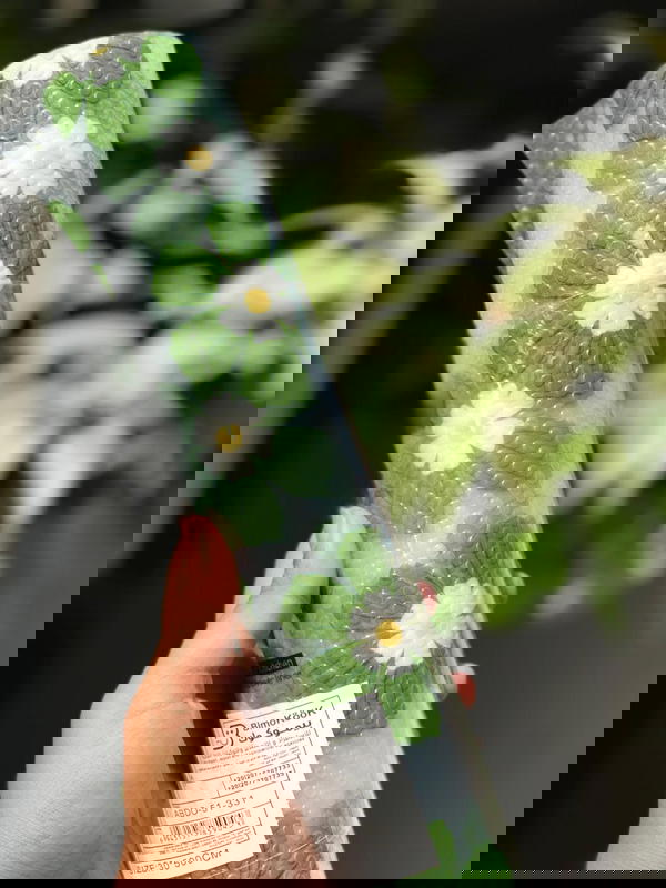 ุฑูู ููู
 ุณูููููู ู
ุณุชูุฑุฏ ุงุดูุงู ูุงู Image 7 Preview