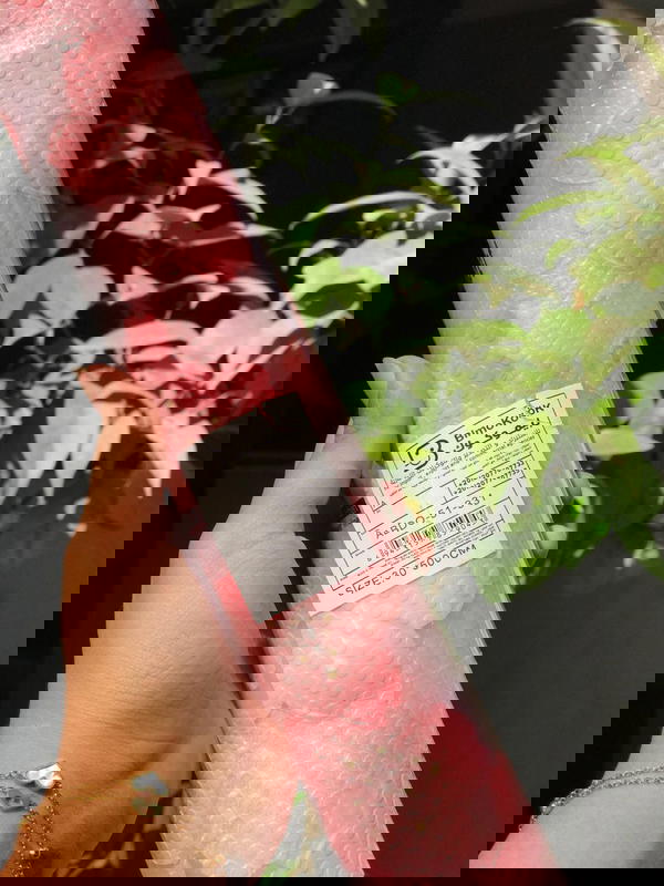 ุฑูู ููู
 ุณูููููู ู
ุณุชูุฑุฏ ุงุดูุงู ูุงู Image 8 Preview