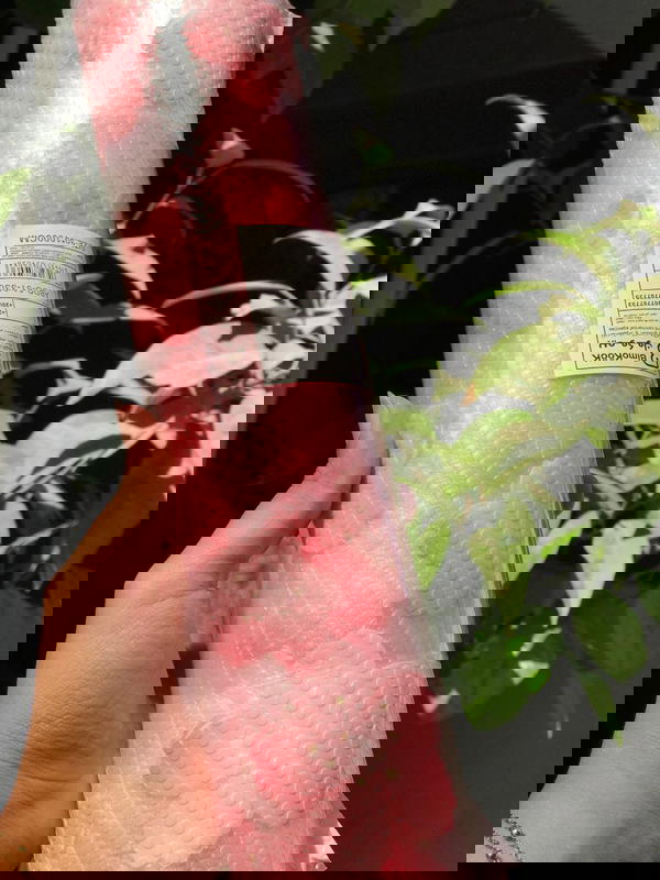 ุฑูู ููู
 ุณูููููู ู
ุณุชูุฑุฏ ู
ูุงุณ 10ู
ุชุฑ *30ุณู
  Image 2 Preview