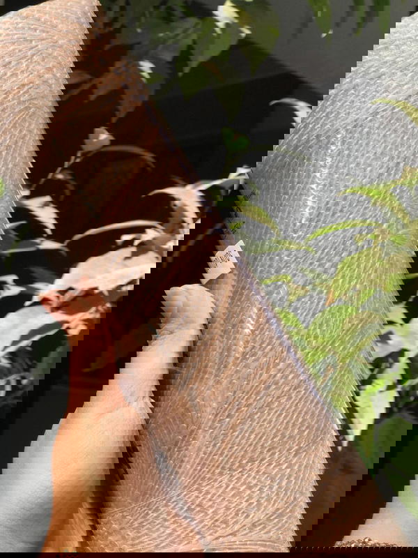 ุฑูู ููู
 ุณูููููู ู
ุณุชูุฑุฏ ู
ูุงุณ 10ู
ุชุฑ *30ุณู
  Image 4 Preview