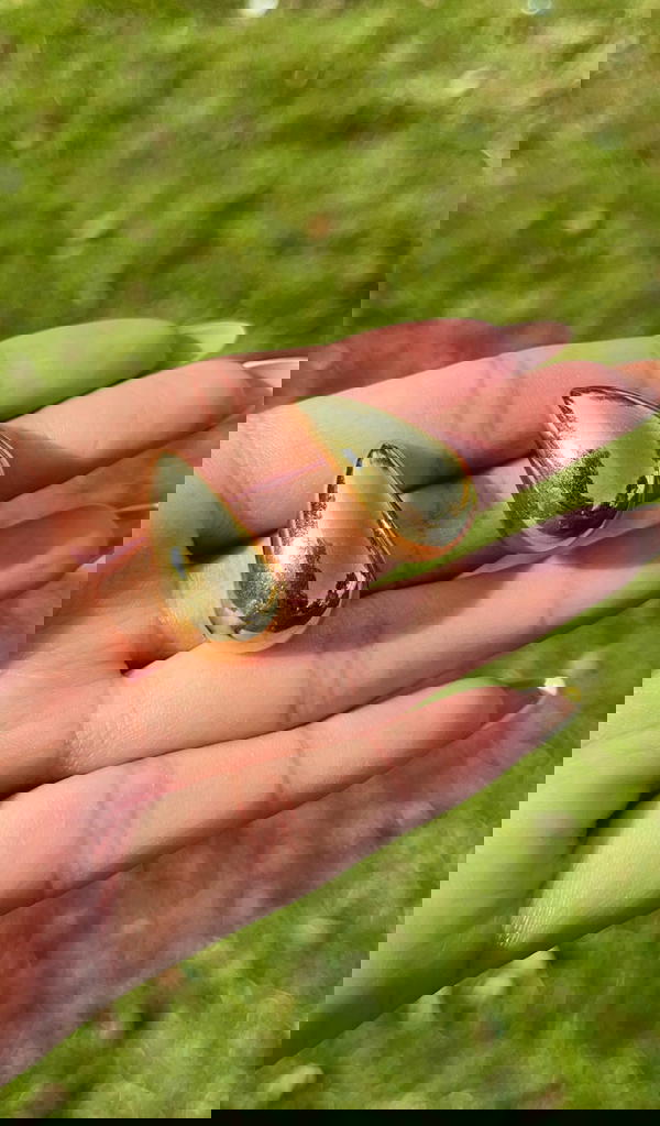 Pure stainless teardrop earrings ๐ง๐ Image 6 Preview