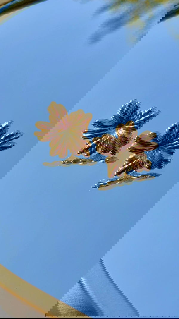 Flower 🌺౨ৎ🌸 Image 2 Preview