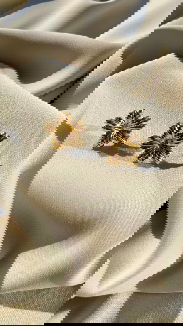 Flower 🌺౨ৎ🌸 Image 3 Preview