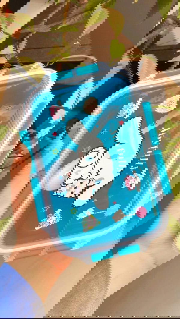 Divided lunch box inside Image 2 Preview