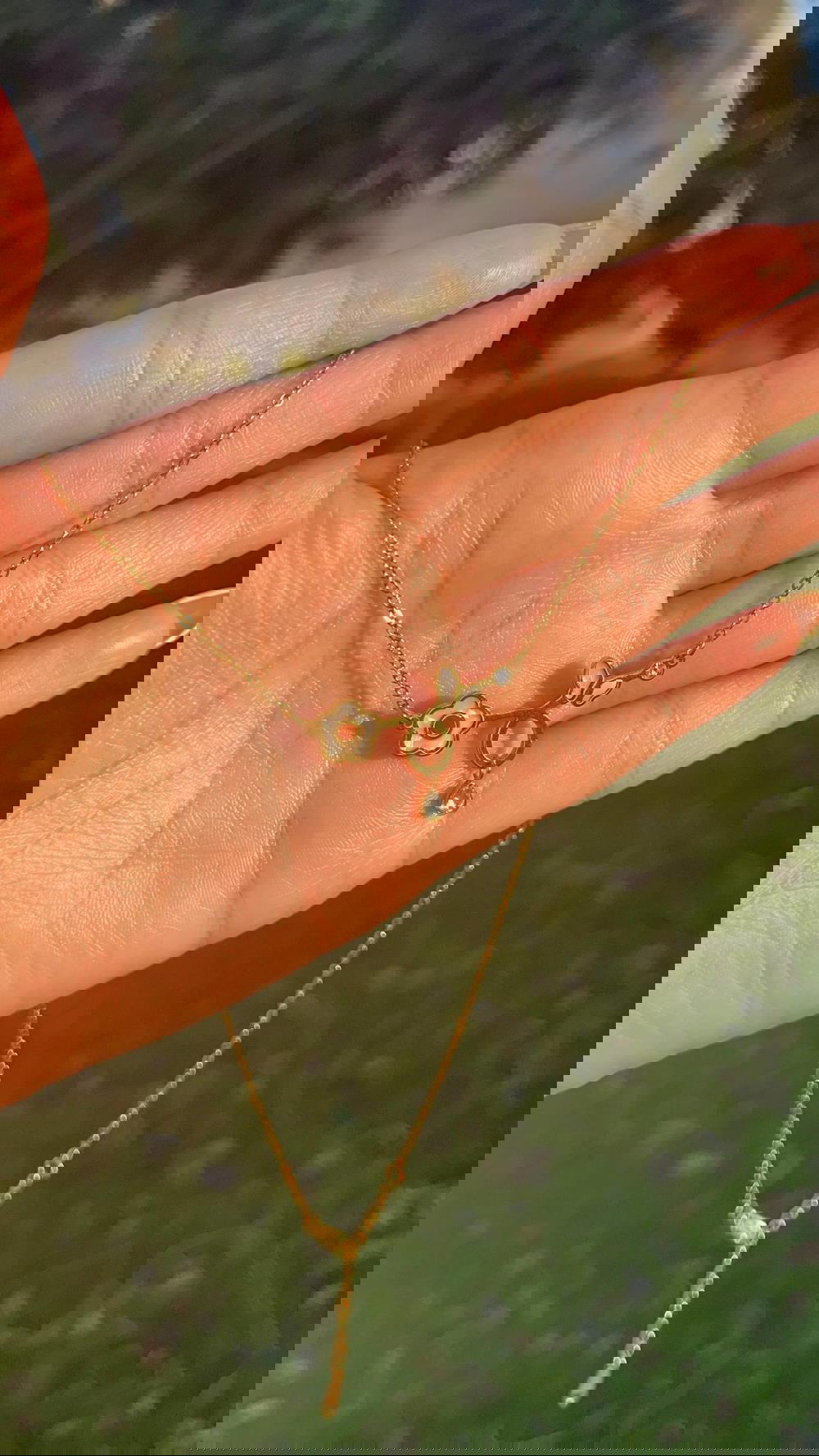 Rose pendant chain .☘︎ ݁˖ Preview Image