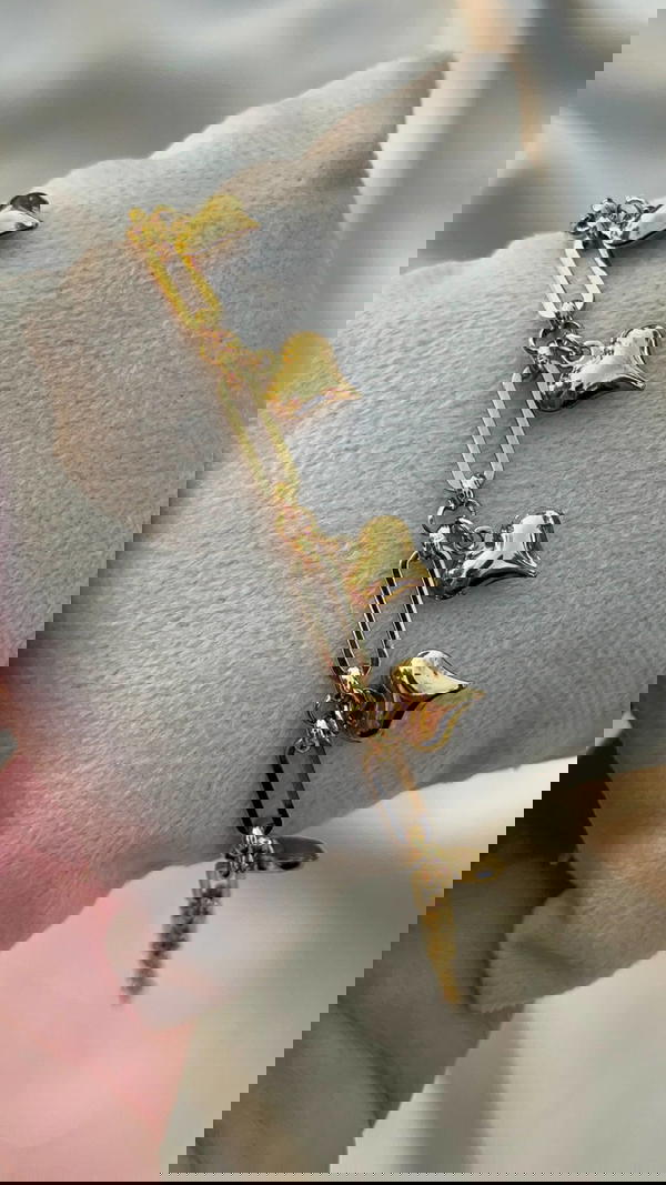 All stainless hearts flowㅤ♡ྀི ㅤ♡ྀི ㅤ♡ྀི  ㅤ♡ྀི   Image 6 Preview