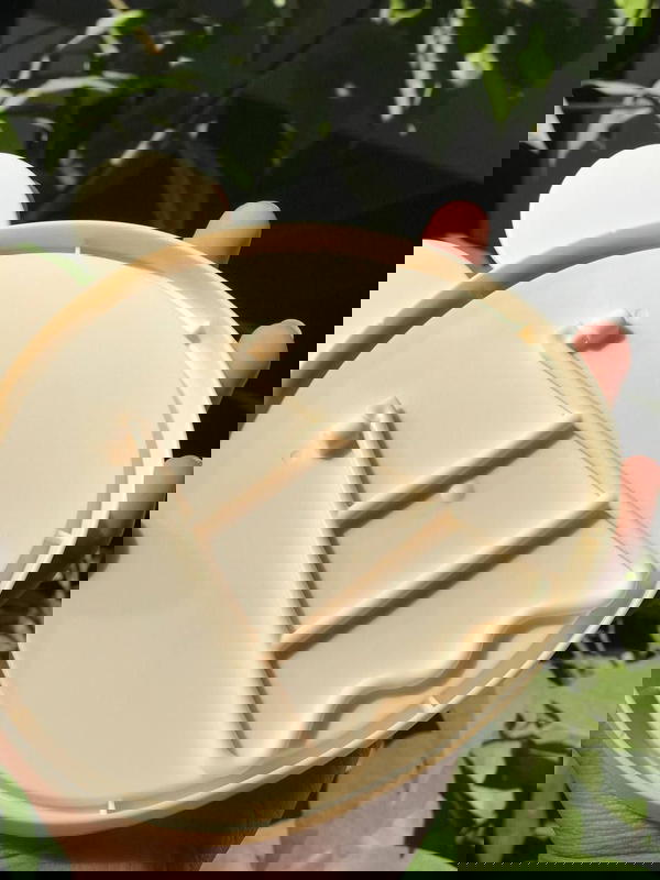 New imported mirror 🤩🙈 Image 5 Preview