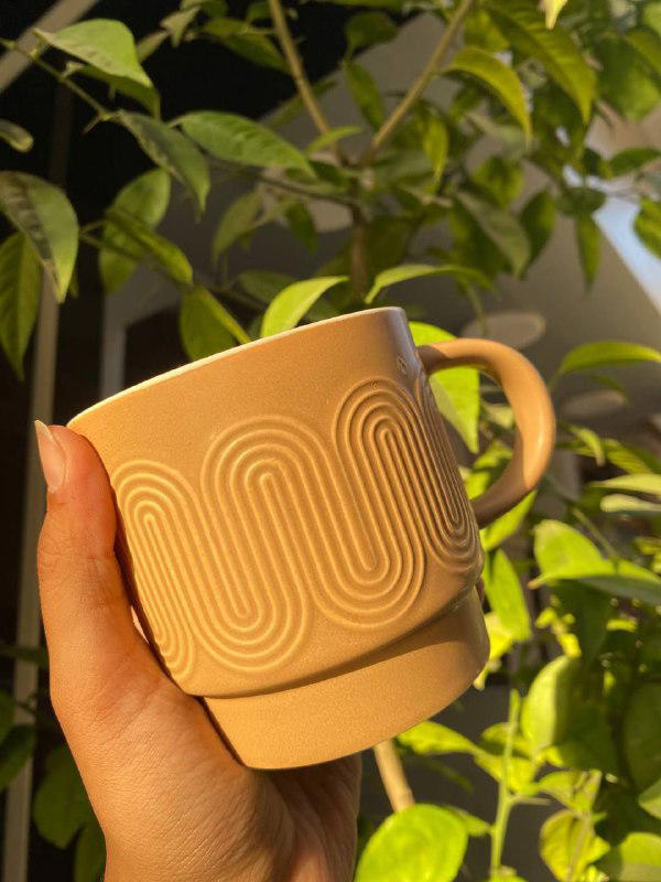 عشر اشكال مجات جوا شوفيهم Image 9 Preview