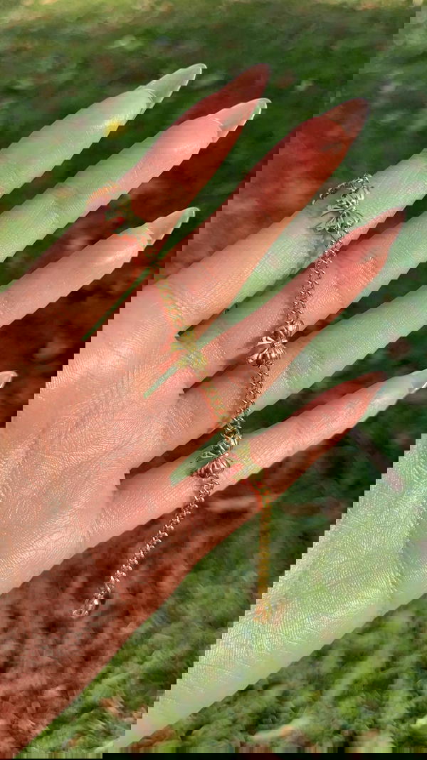 Bows Flow 🩰˚˖𓍢✧˚.🎀 Image 3 Preview