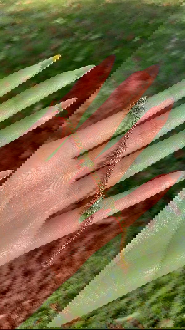 Bows Flow 🩰˚˖𓍢✧˚.🎀 Image 4 Preview