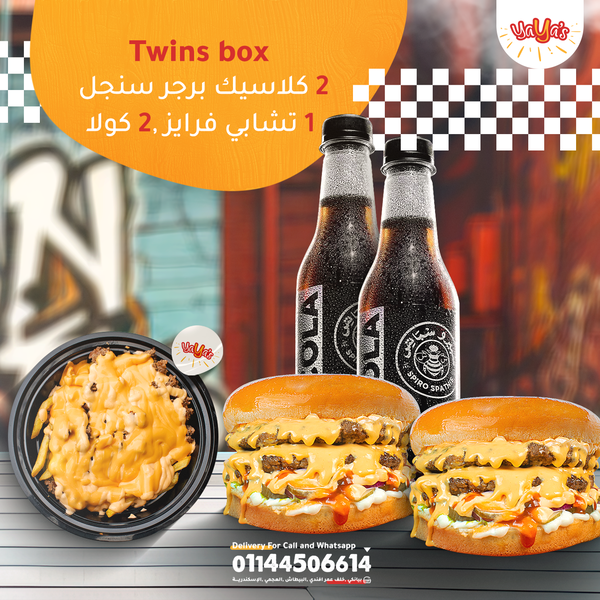 Twins Box Image 1 Preview