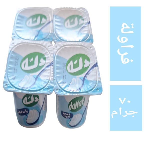 زبادي دله طبيعي ٤ قطع ب٢٠ ج  ٧٠ جم Image 1 Preview