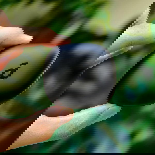 سماعة أنكر ماركة أصلية  Image 2 Preview