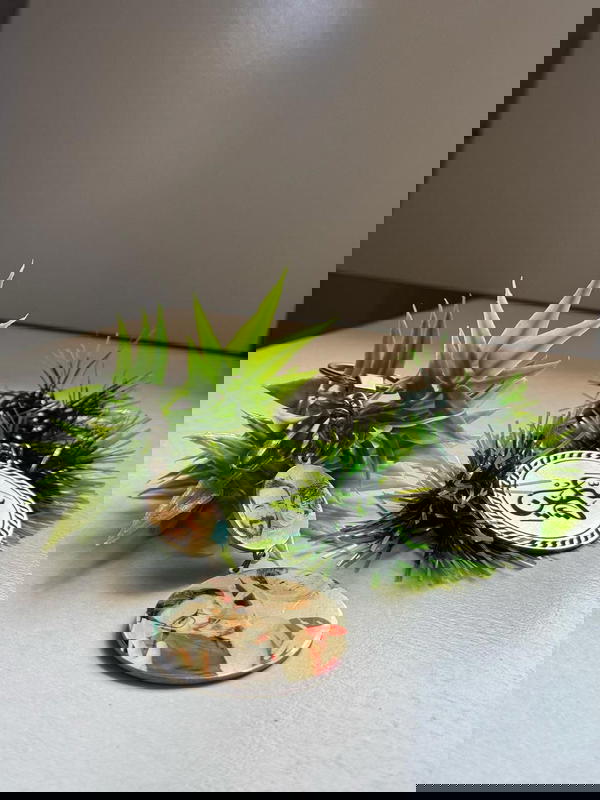 مادلية استلس بيور  Image 6 Preview