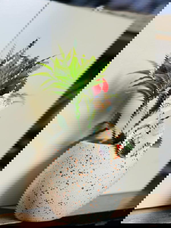 مادلية استلس بيور  Image 7 Preview