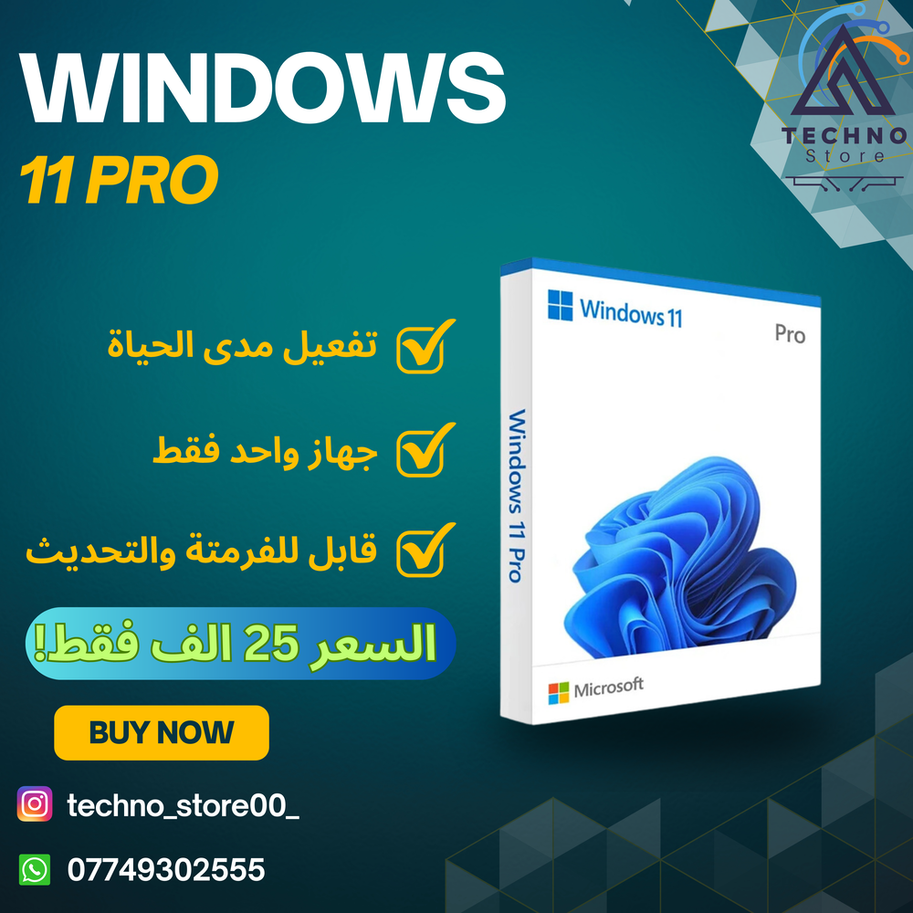 Windows 11 Pro Preview Image