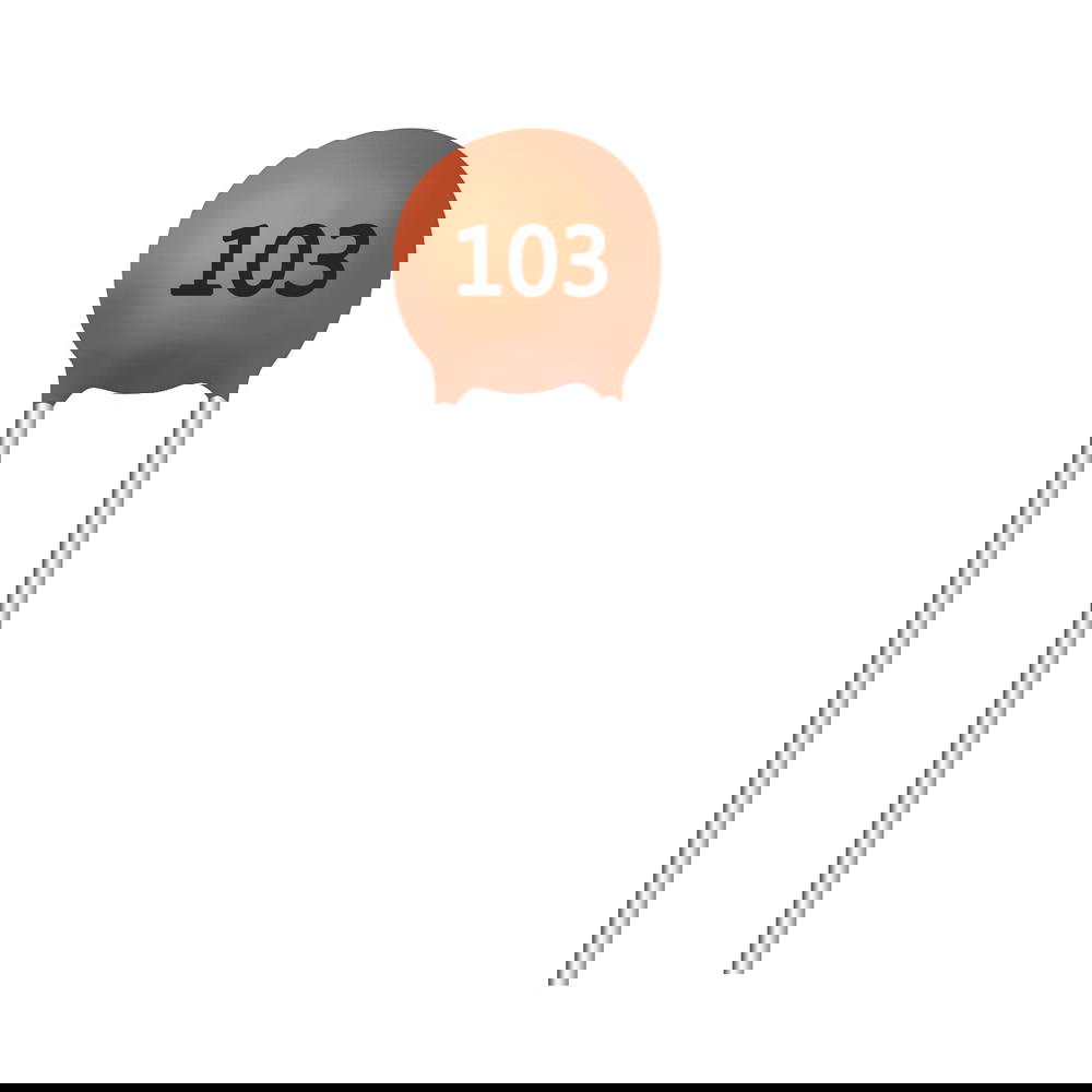 103,Ceramic Chip Capacitor Preview Image