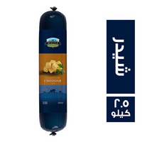 ماينز جبنة شيدر ساده  - 2.5 كجم Preview Image