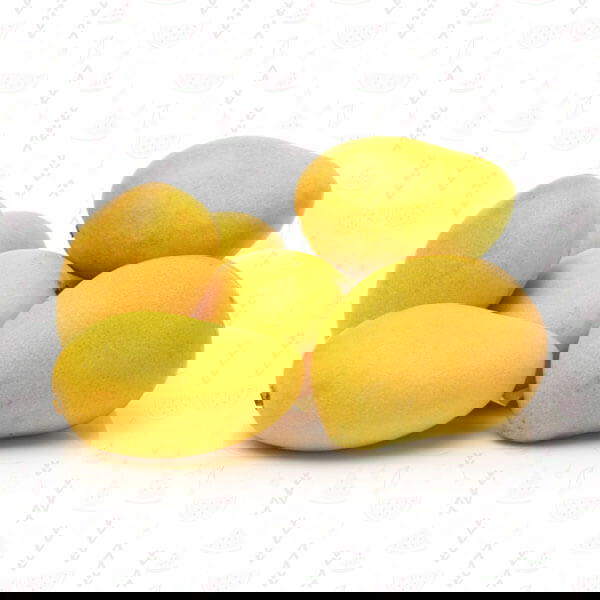 عويسي اسمعلاوي Preview Image