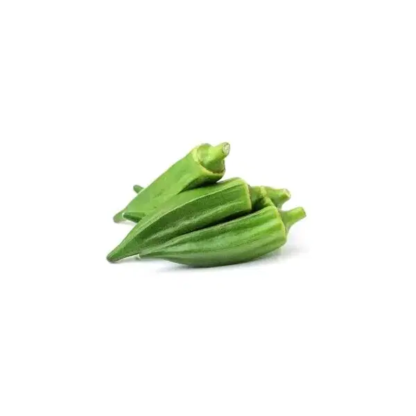 باميه فلاحي Image 1 Preview