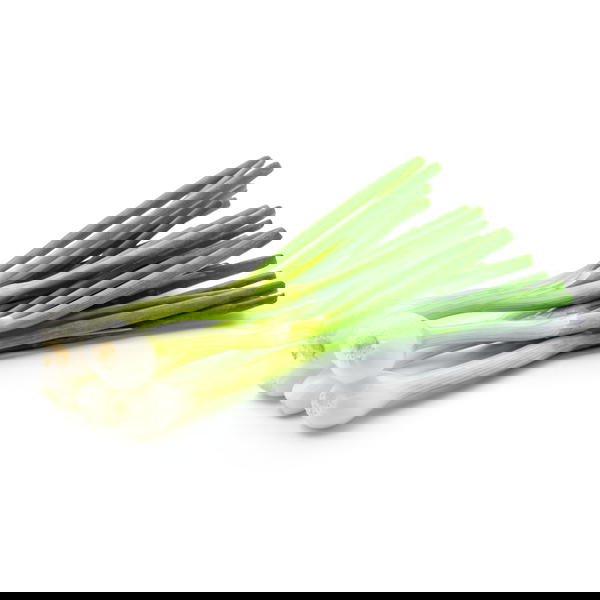 بصل اخضر  Image 1 Preview