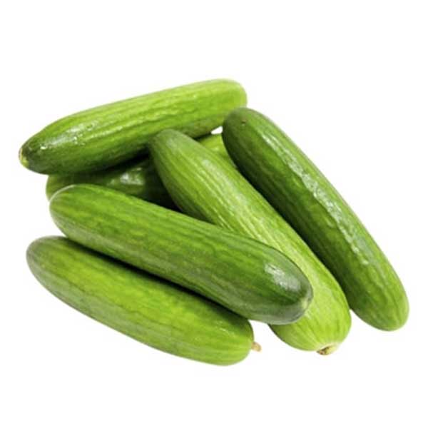 خيار صوب   Preview Image