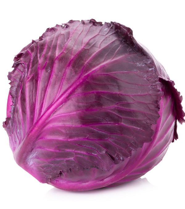 كرنب احمر   Image 1 Preview