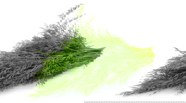شبت    Image 1 Preview