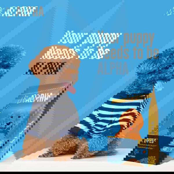 ألفا بابى Image 1 Preview