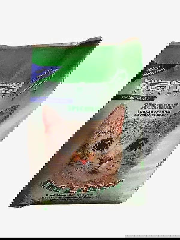 رمله ريست كات مصرى Image 1 Preview