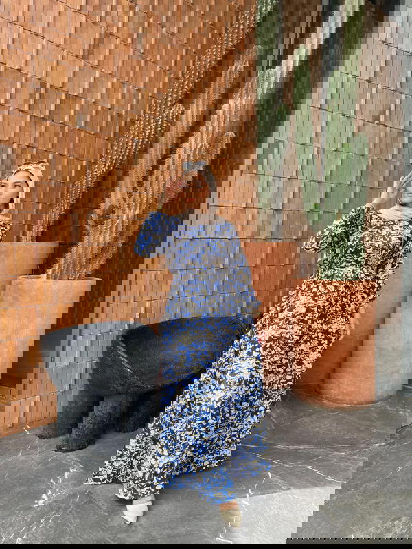 فلوري دريس  Image 2 Preview