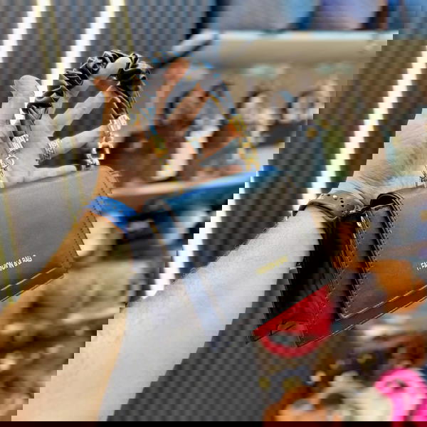 كروس يد مكشكش Image 2 Preview