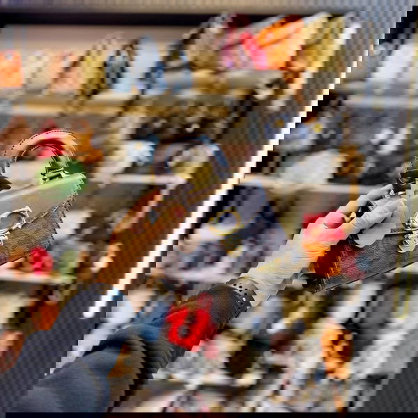 ميني كروس كوتش  Image 4 Preview