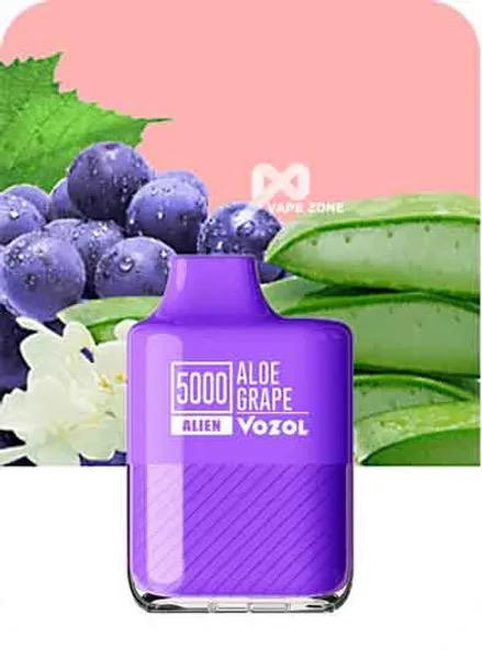 vozol 5k aloe  grape   Preview Image