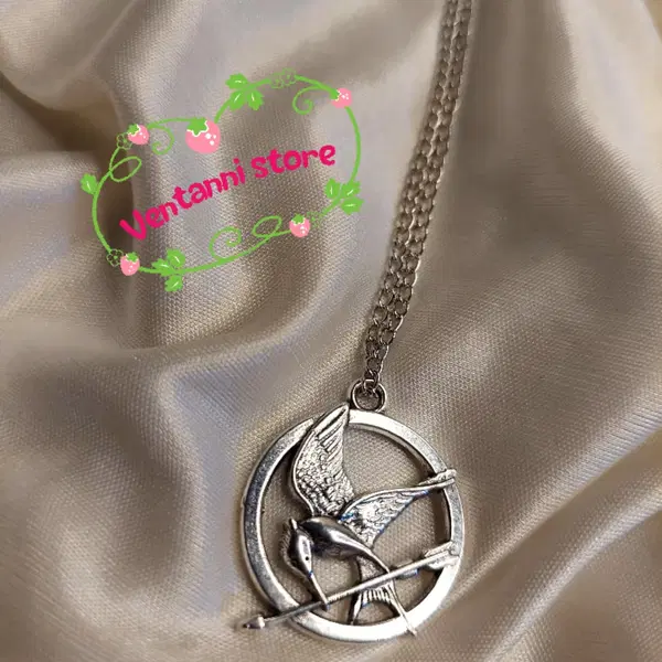 Hunger game 🎯 Necklace  Image 1 Preview